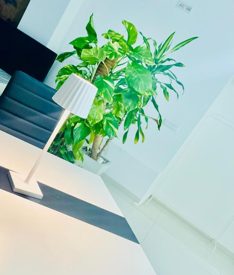 Loft Terracina Villa Dış mekan fotoğraf